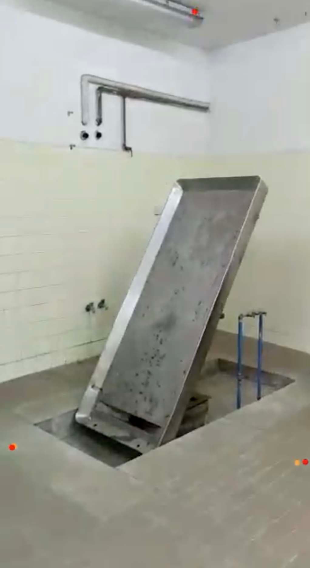 תמונה מהקורס 12