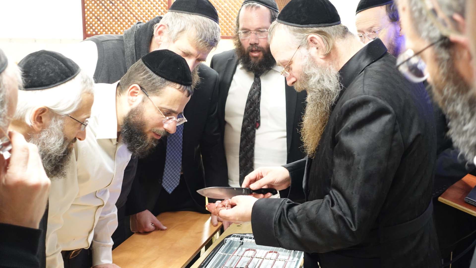 תמונה מהקורס 8