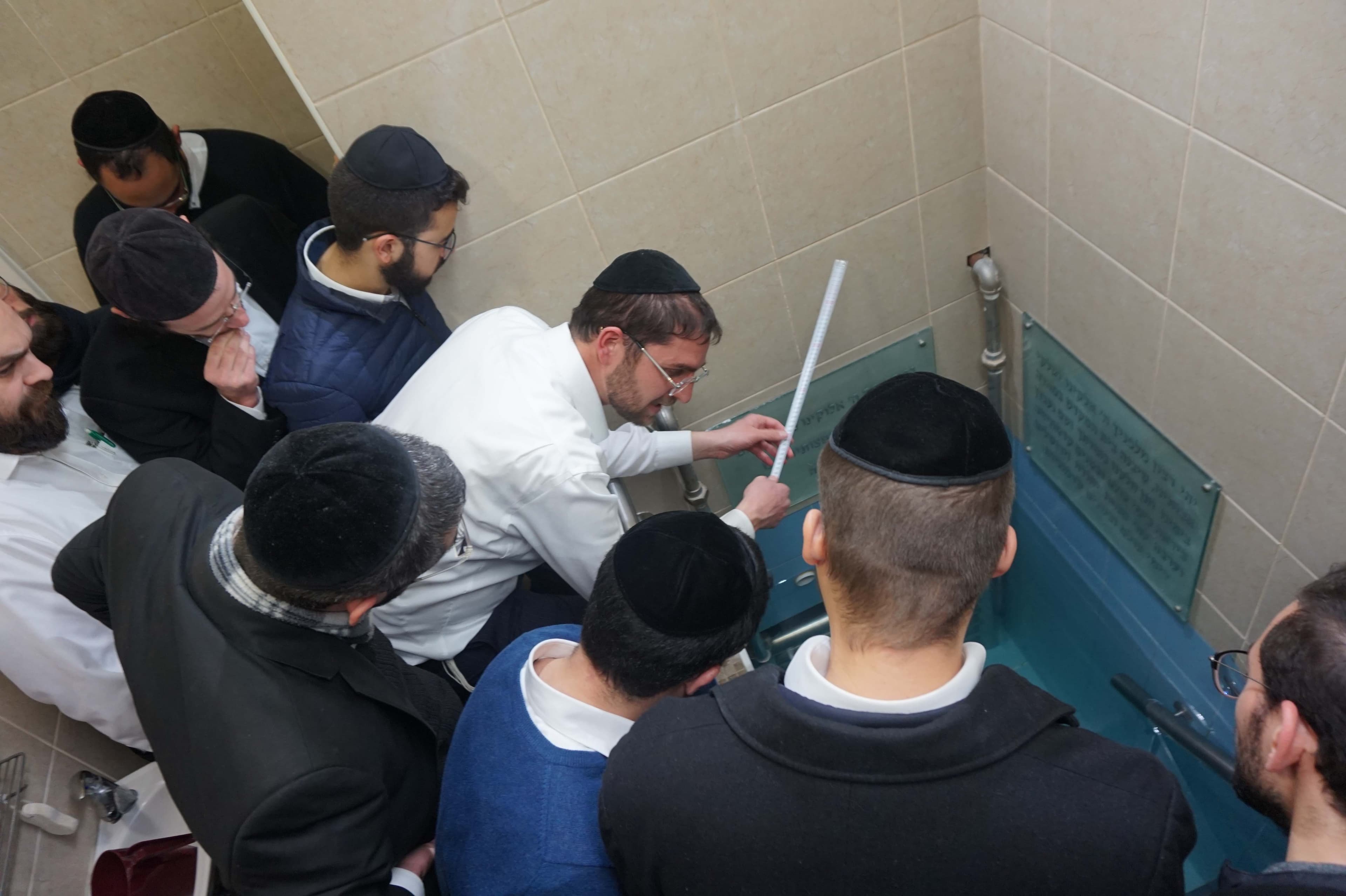 תמונה מהקורס 12