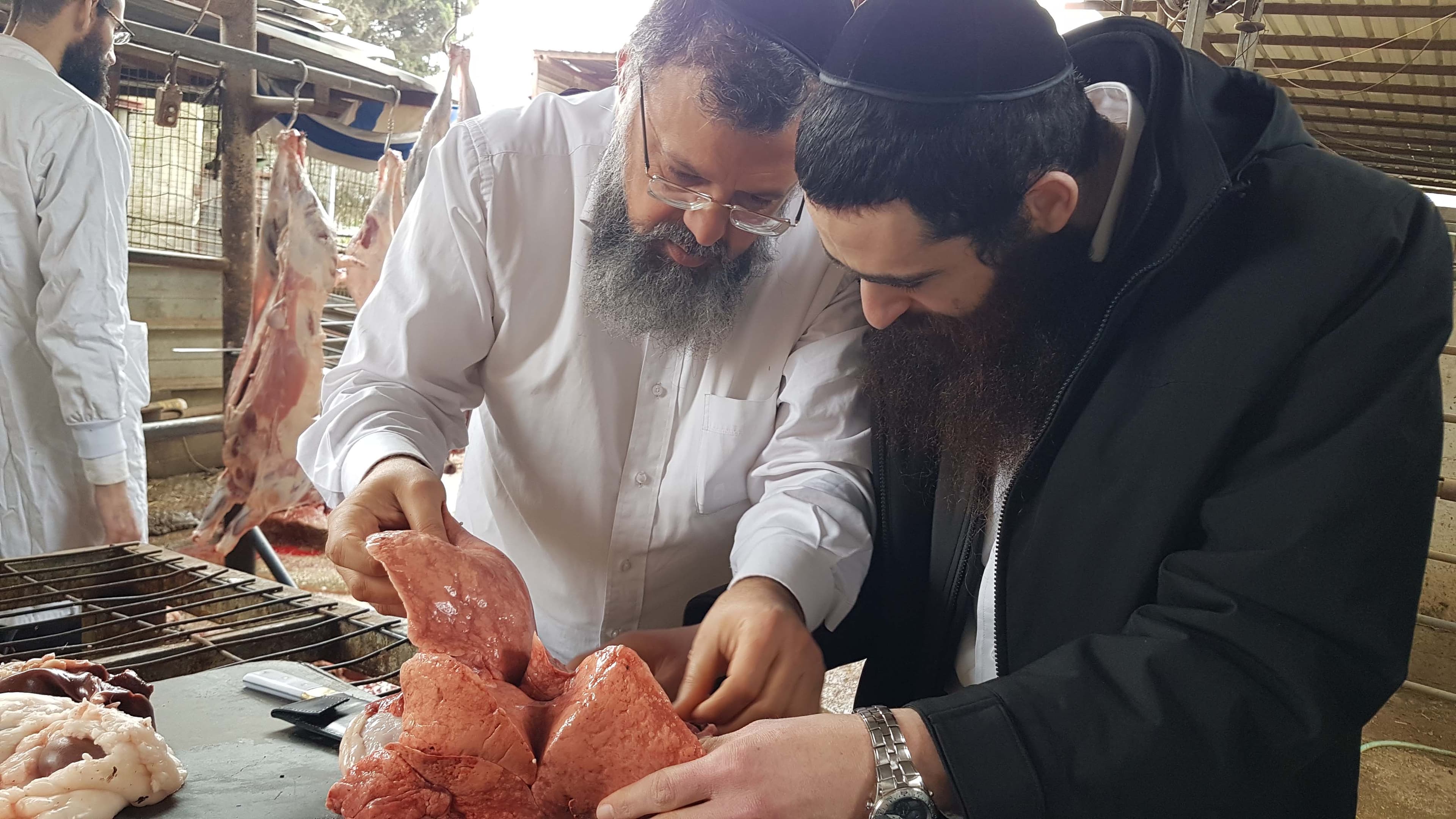 תמונה מהקורס 2