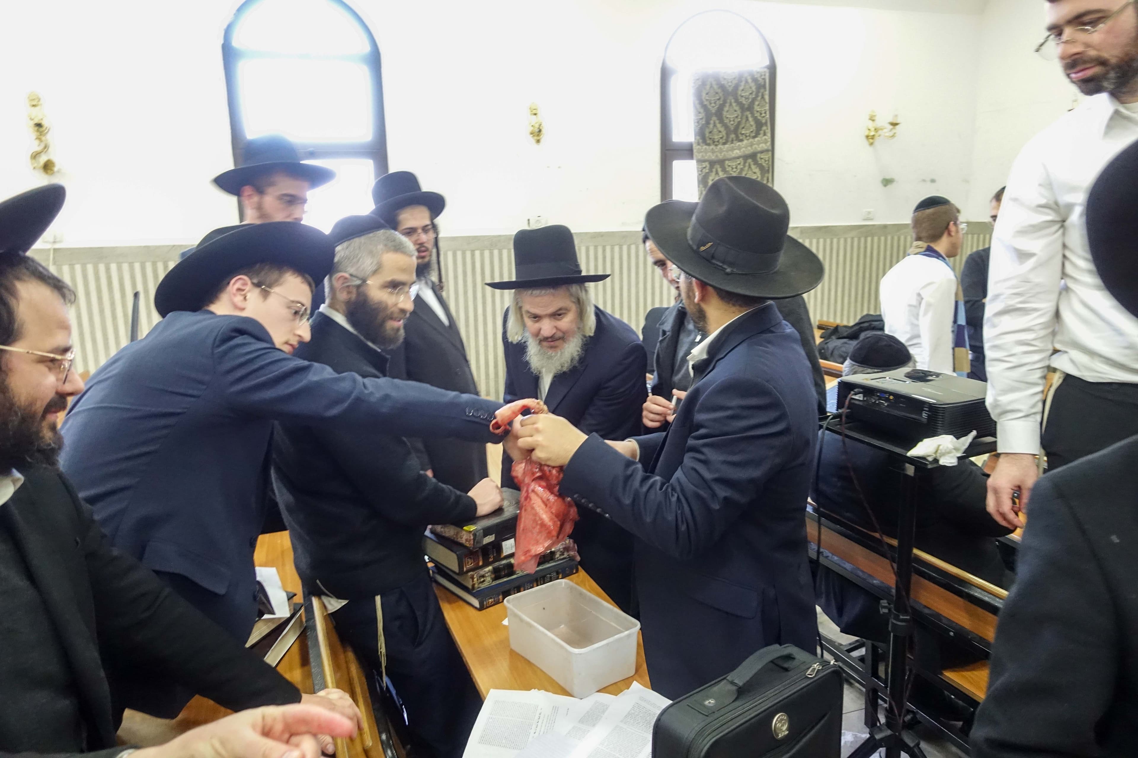 תמונה מהקורס 10