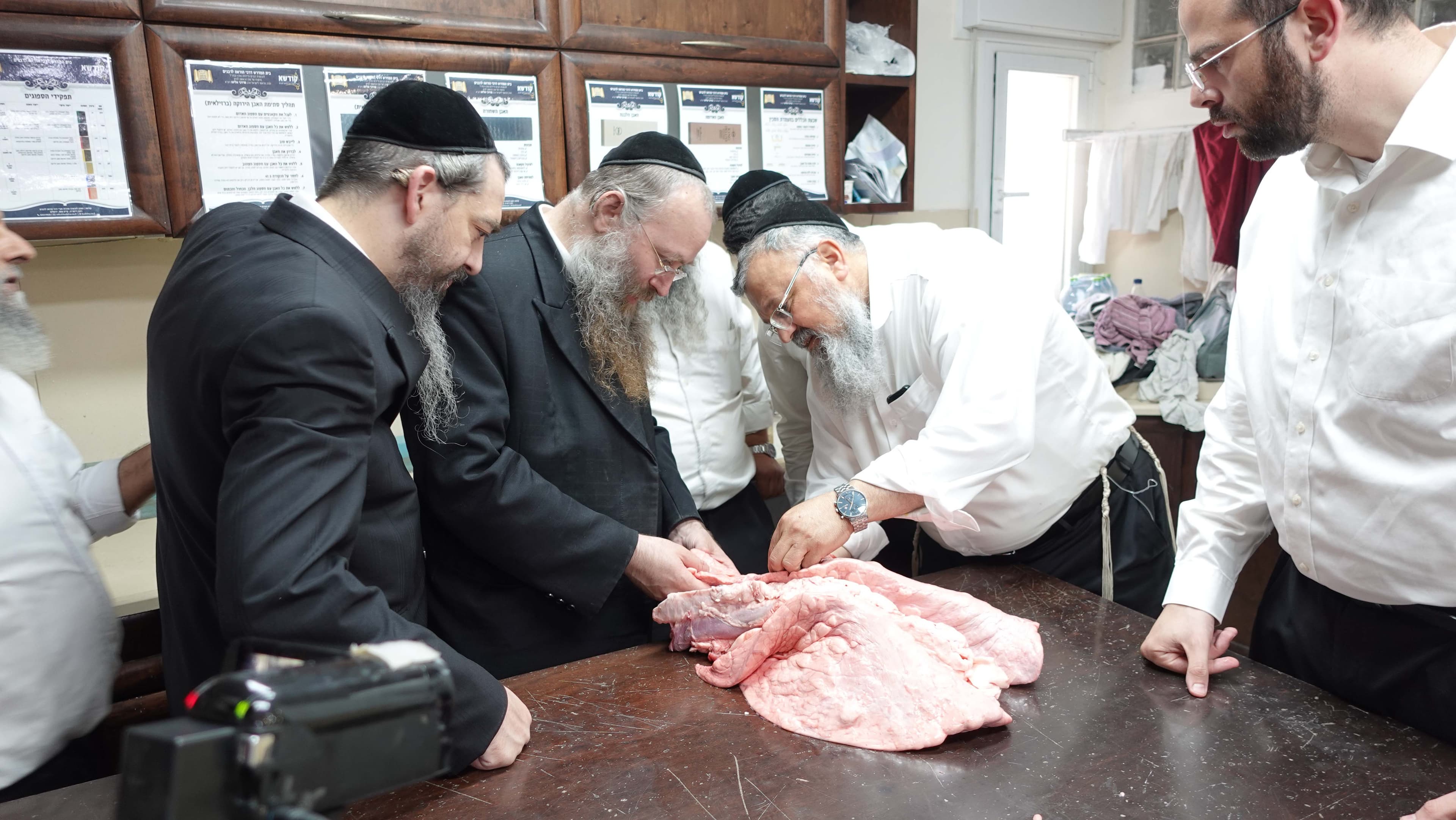 תמונה מהקורס 11