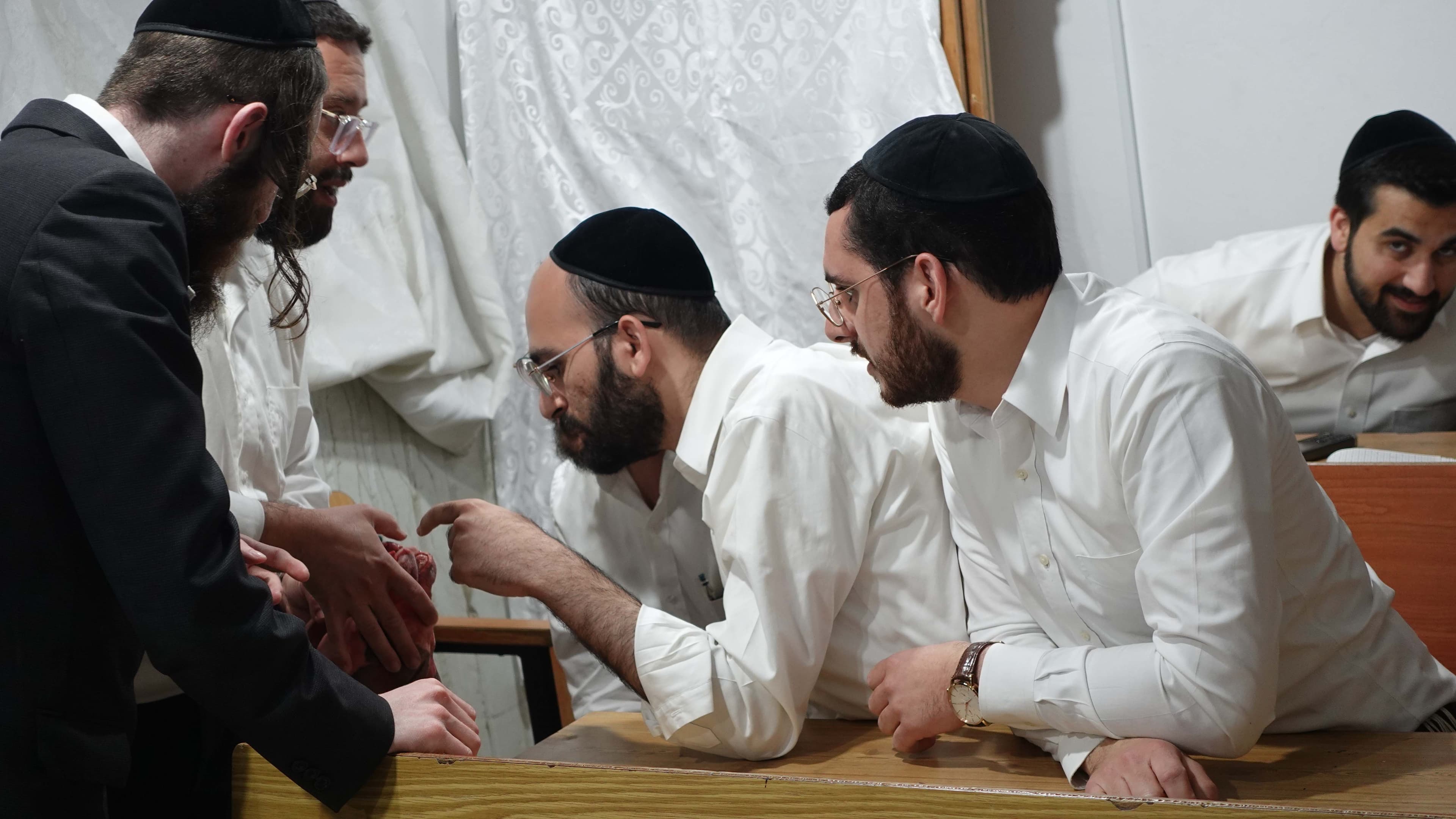 תמונה מהקורס 12