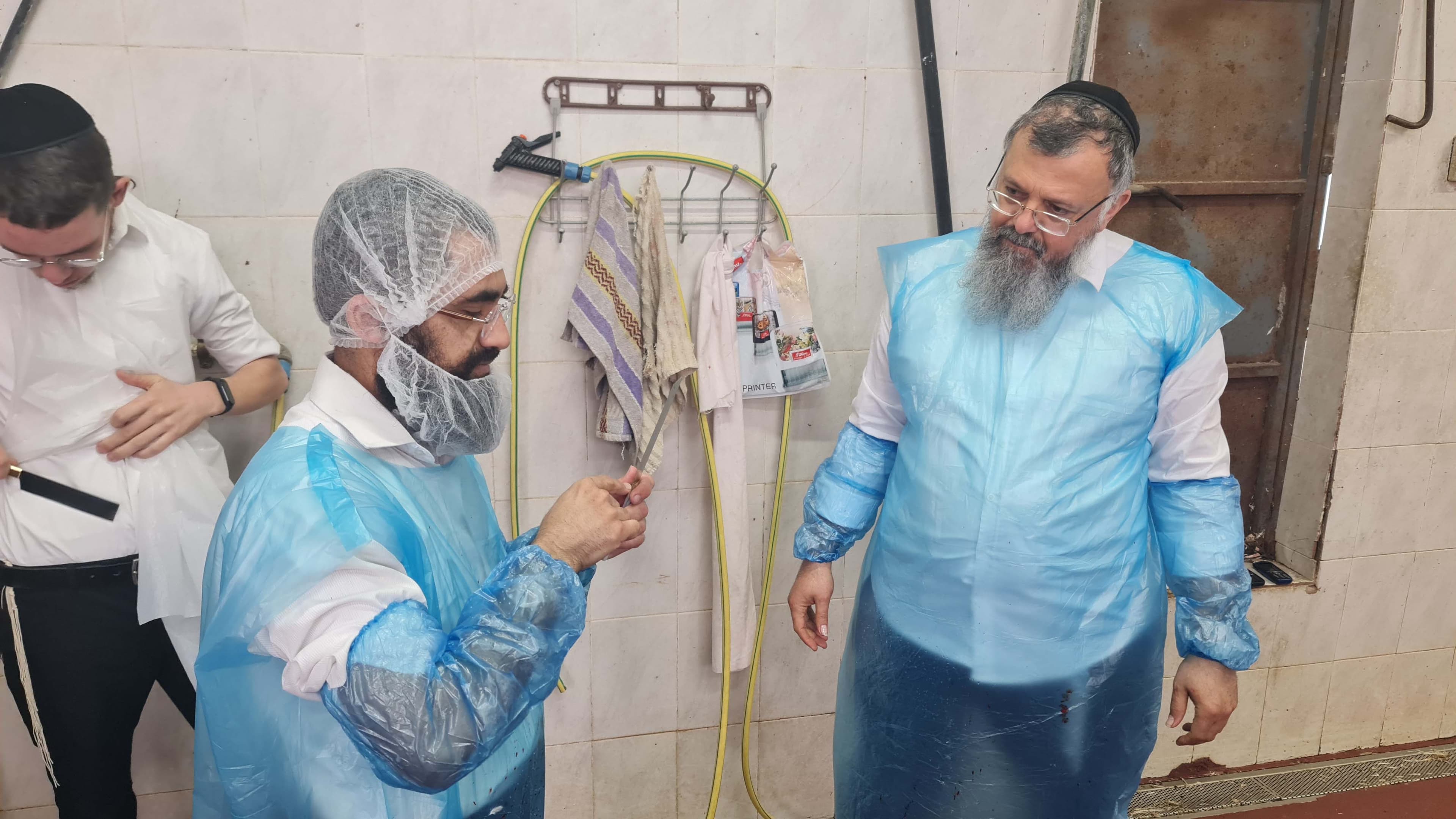 תמונה מהקורס 14