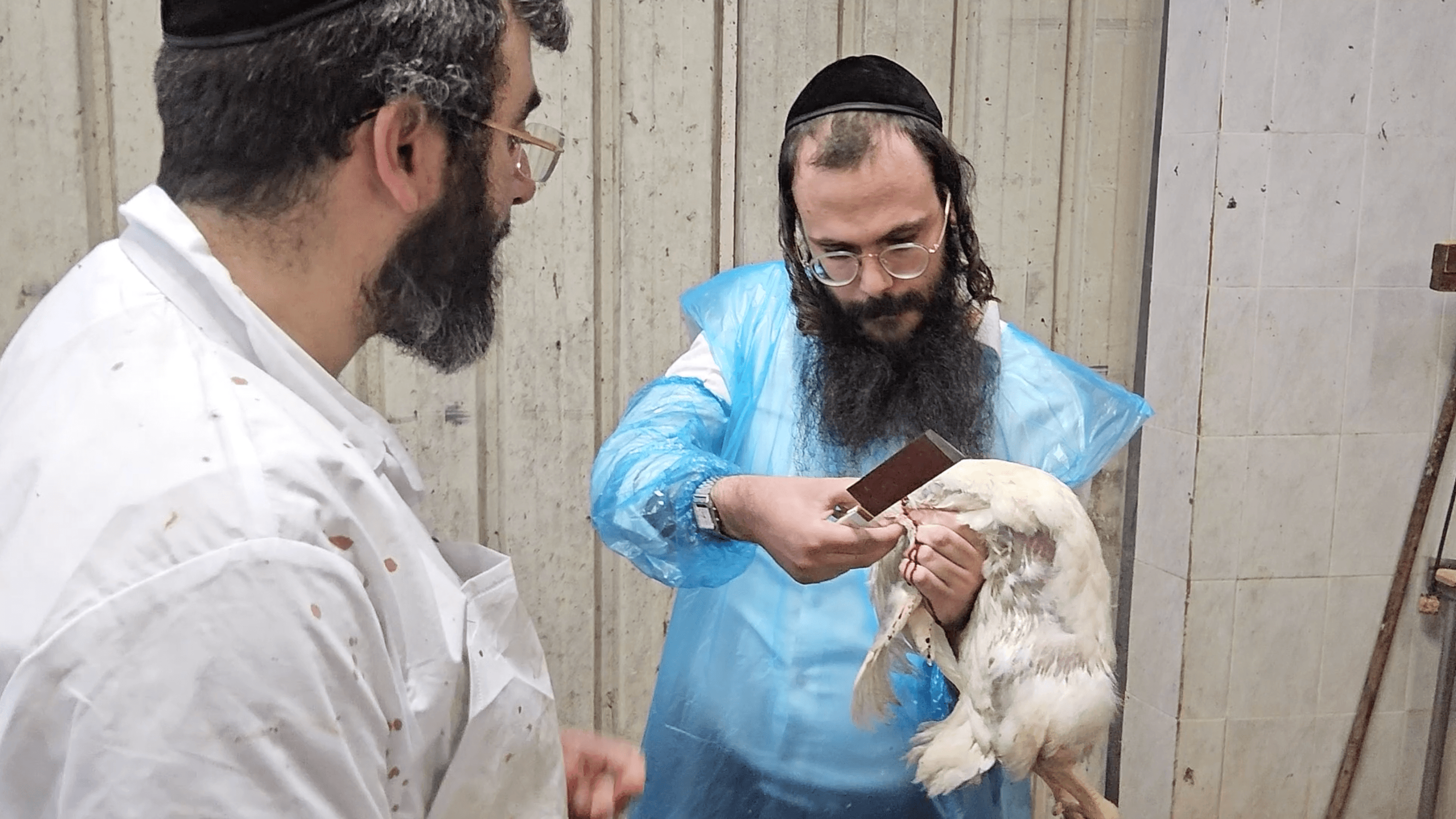 תמונה מהקורס 1