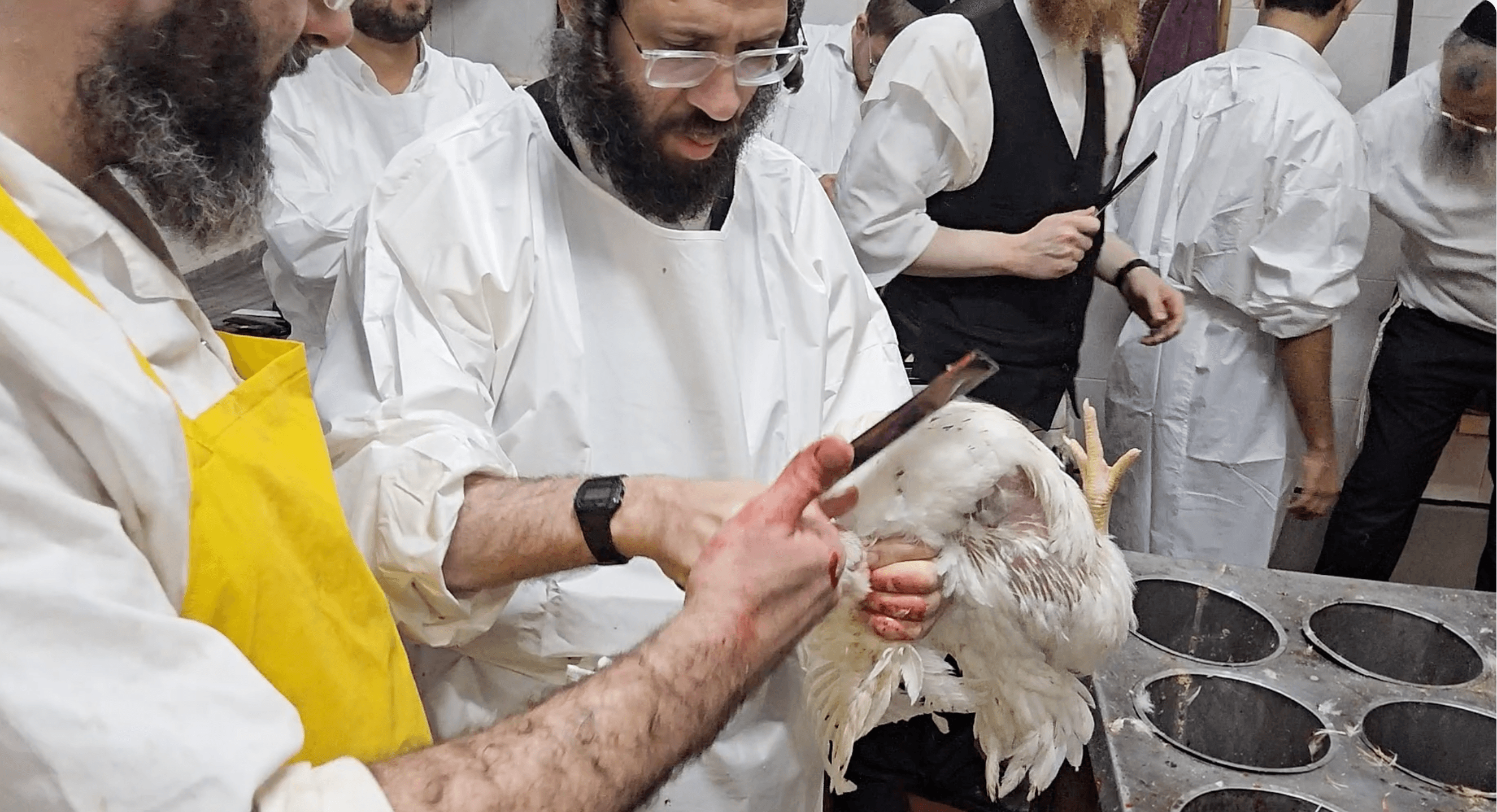 תמונה מהקורס 10