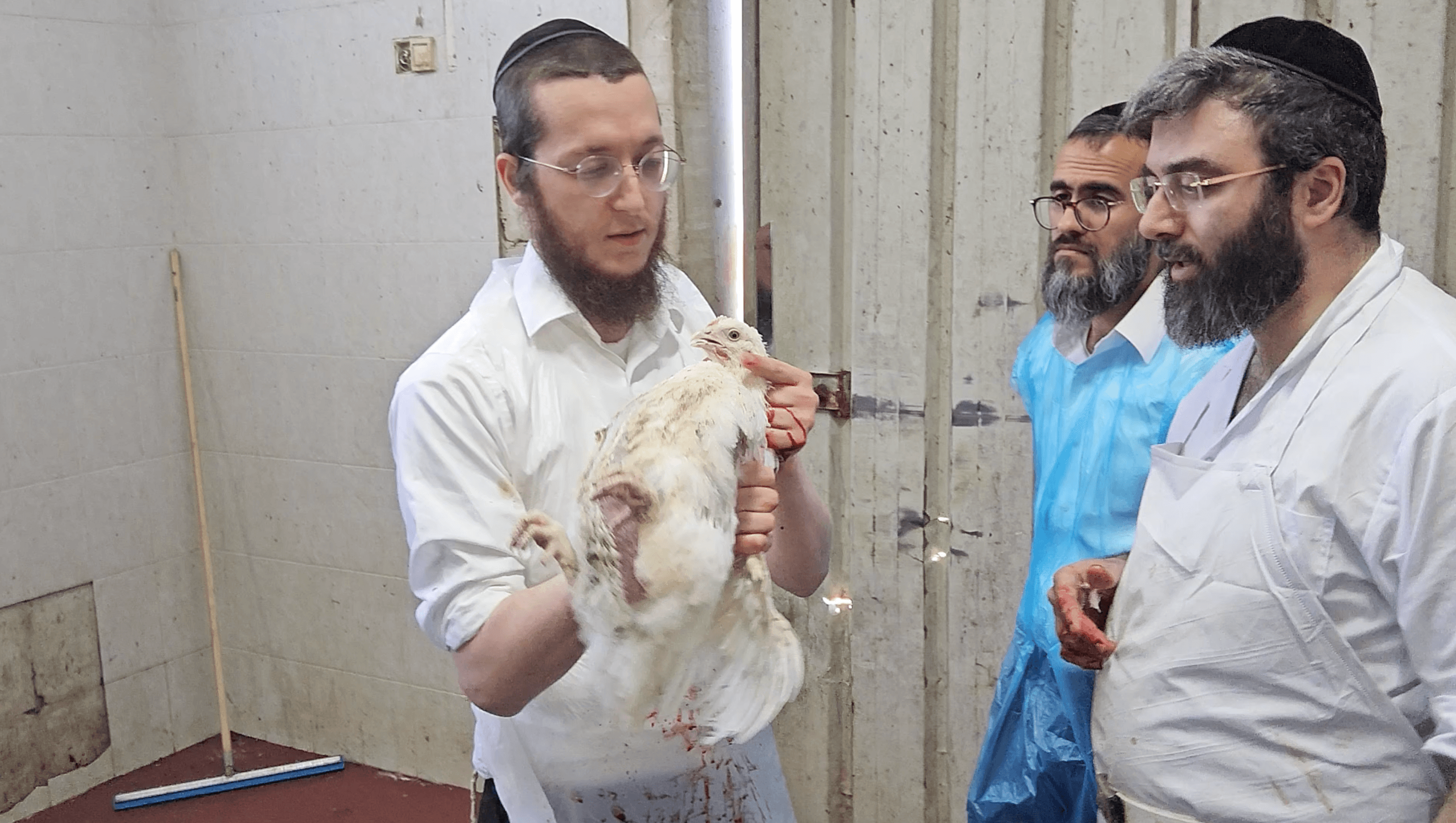 תמונה מהקורס 13