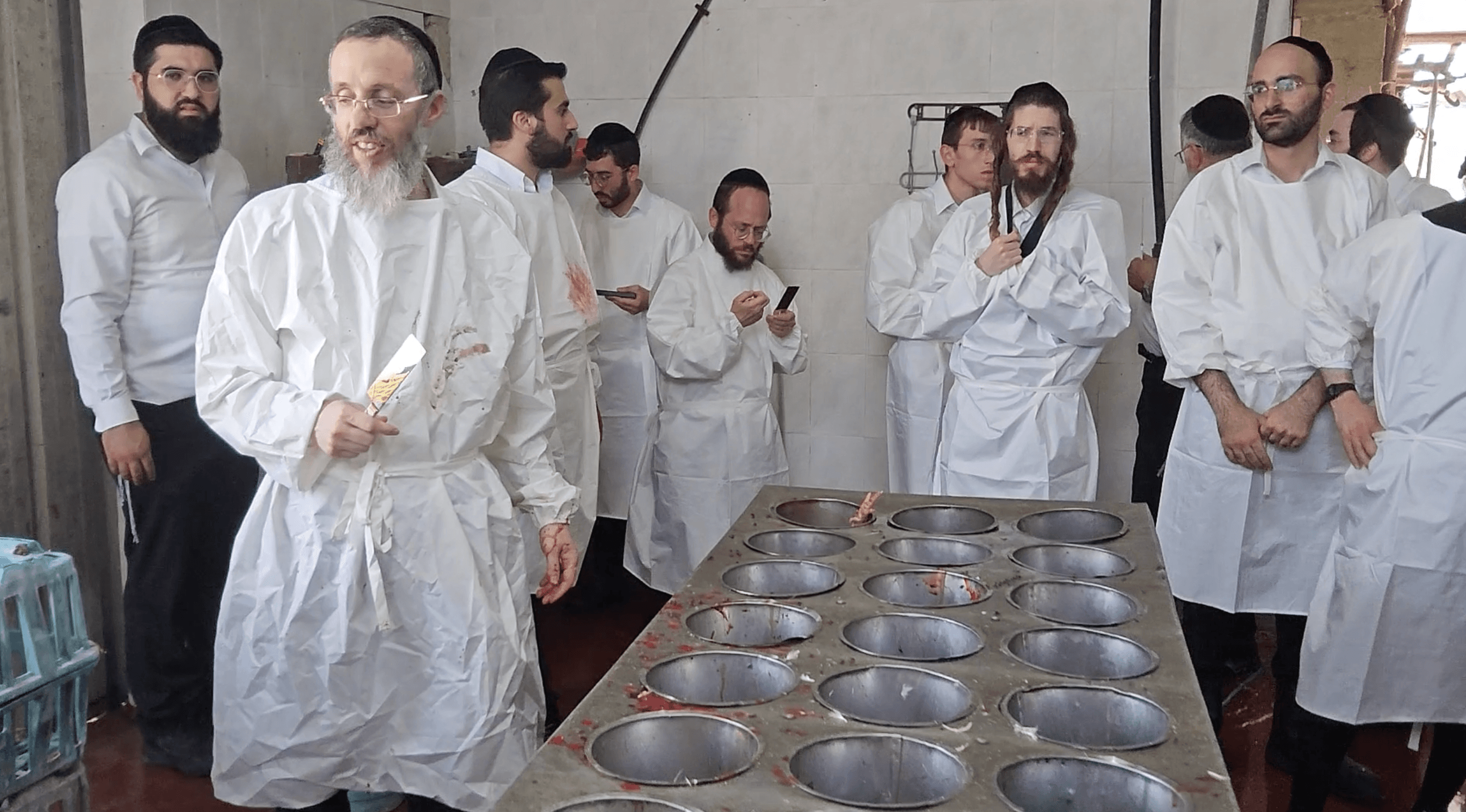 תמונה מהקורס 15