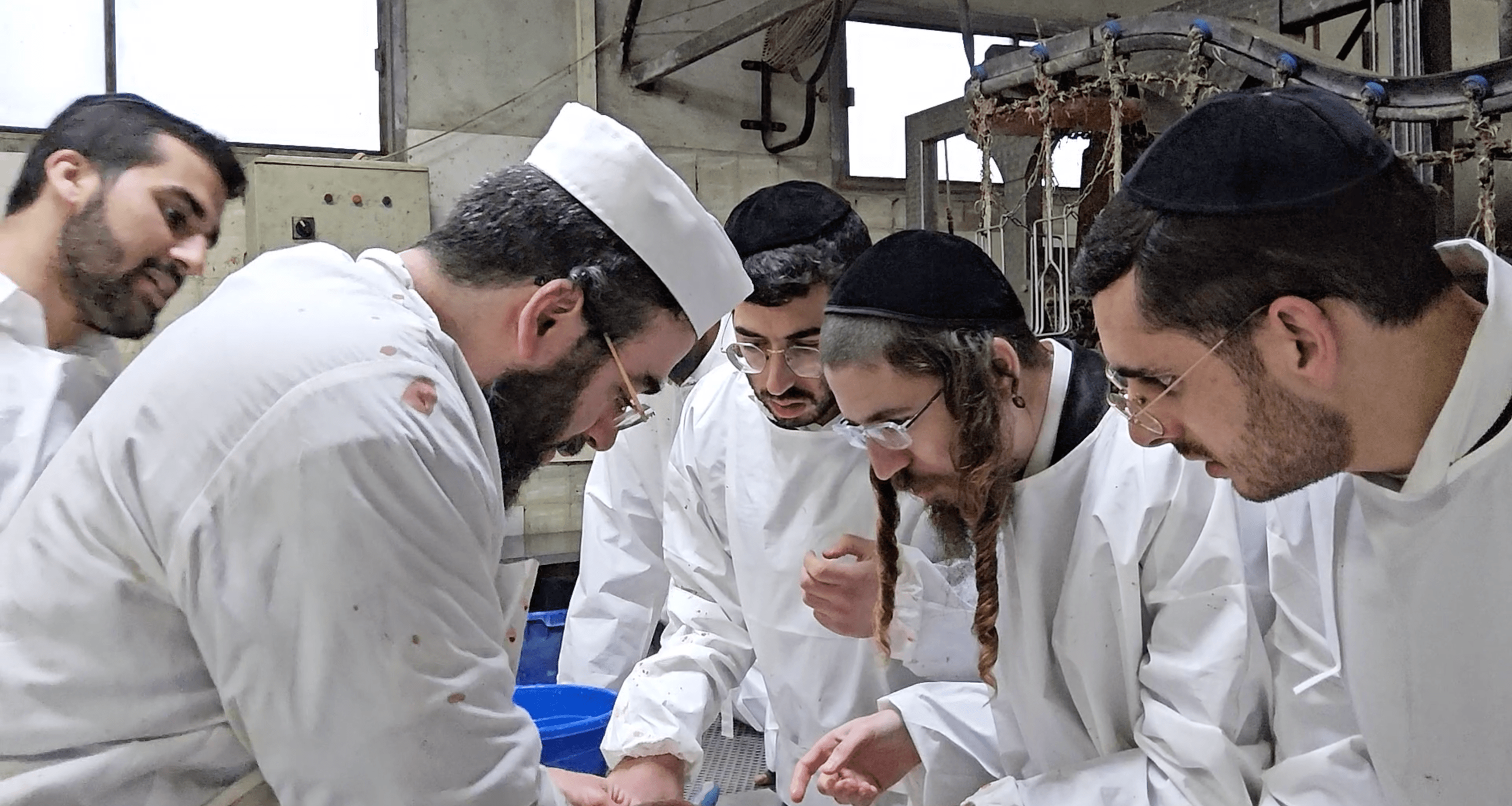 תמונה מהקורס 16