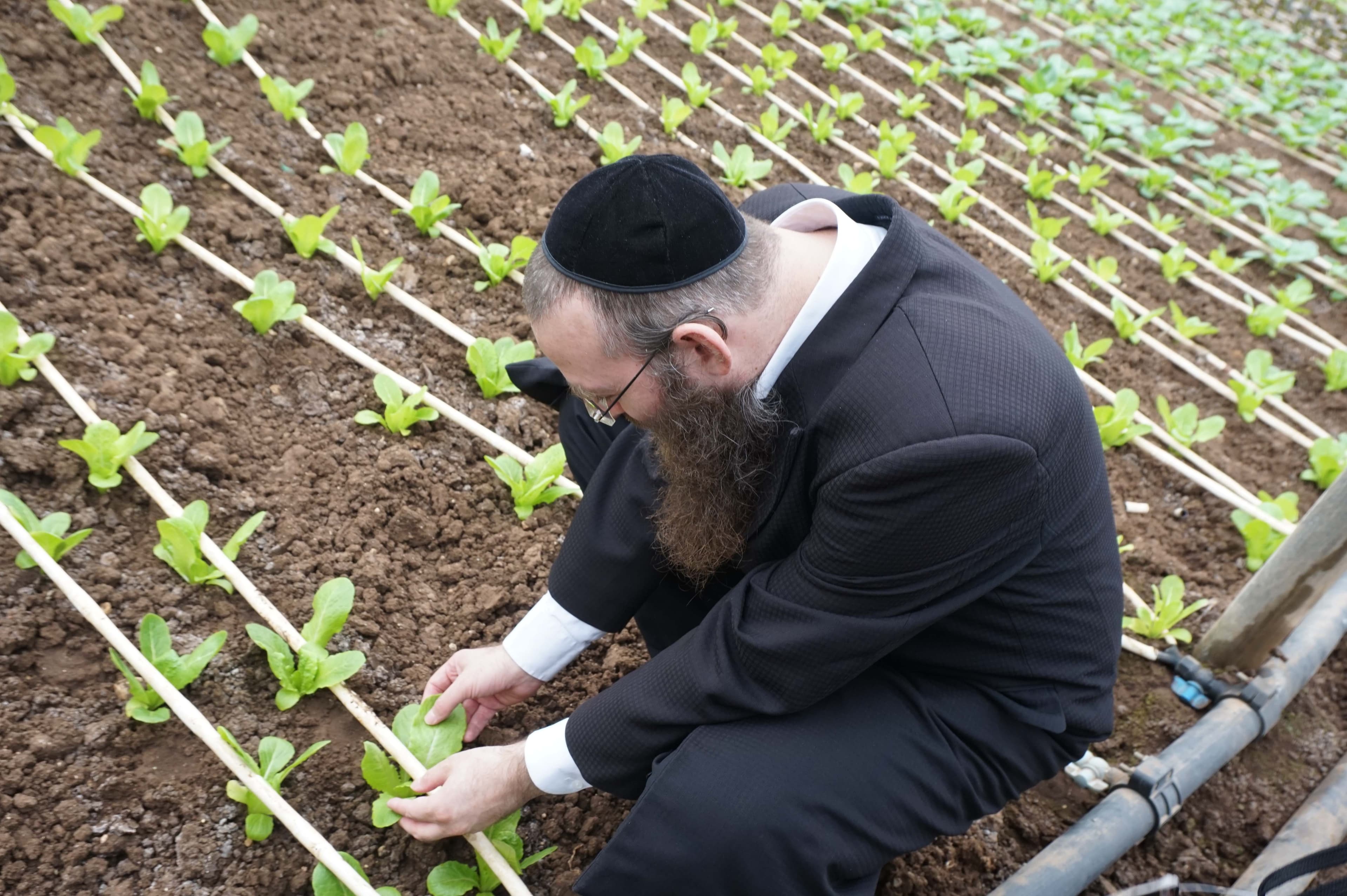 תמונה מהקורס 2