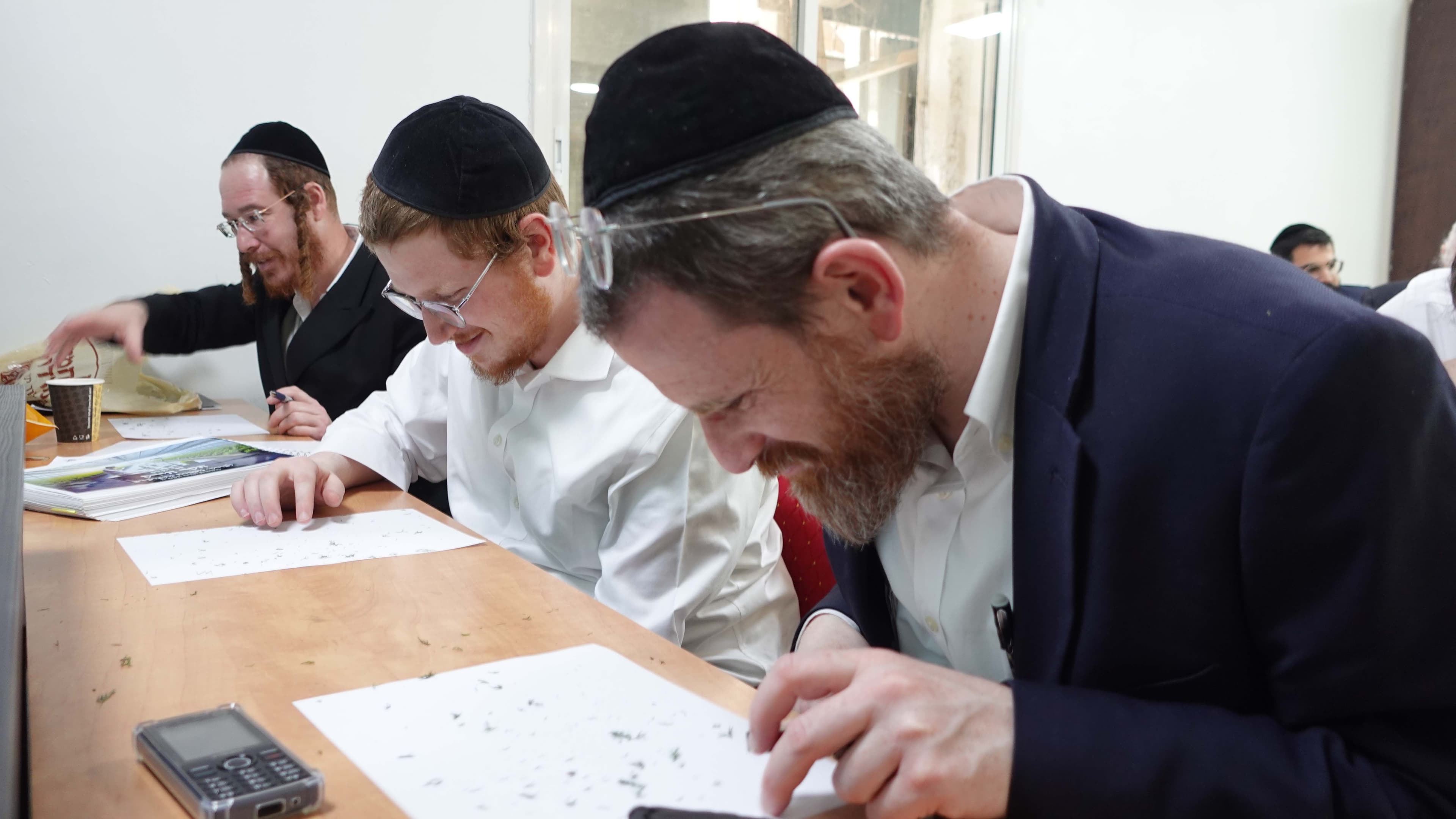 תמונה מהקורס 4