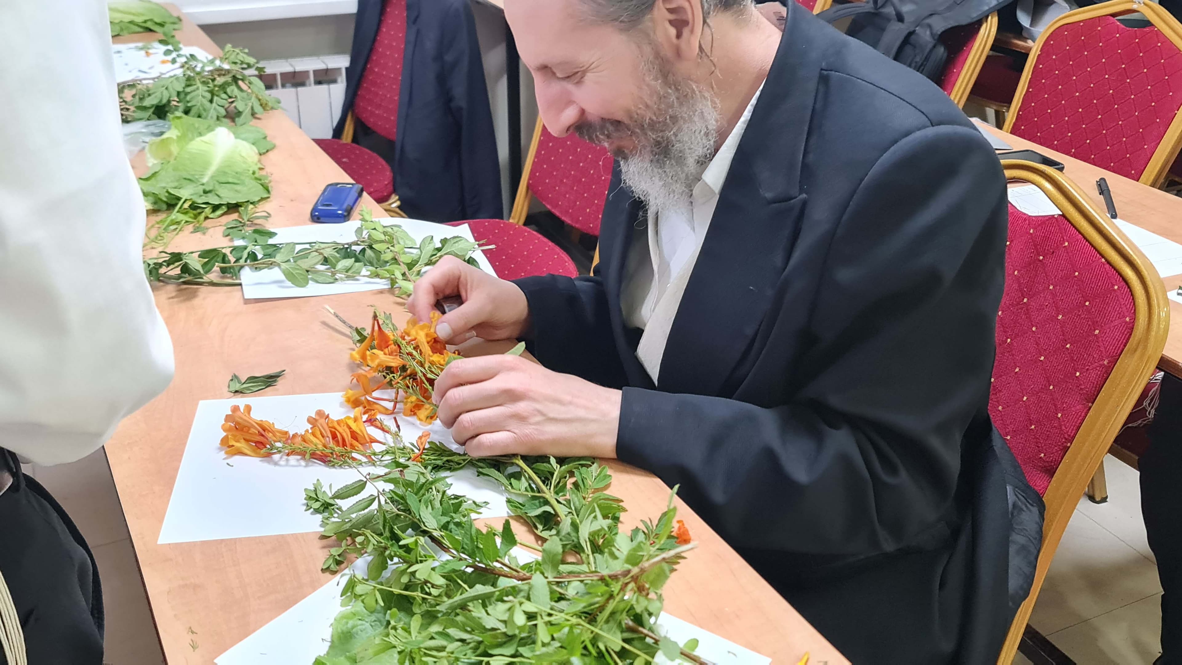 תמונה מהקורס 12
