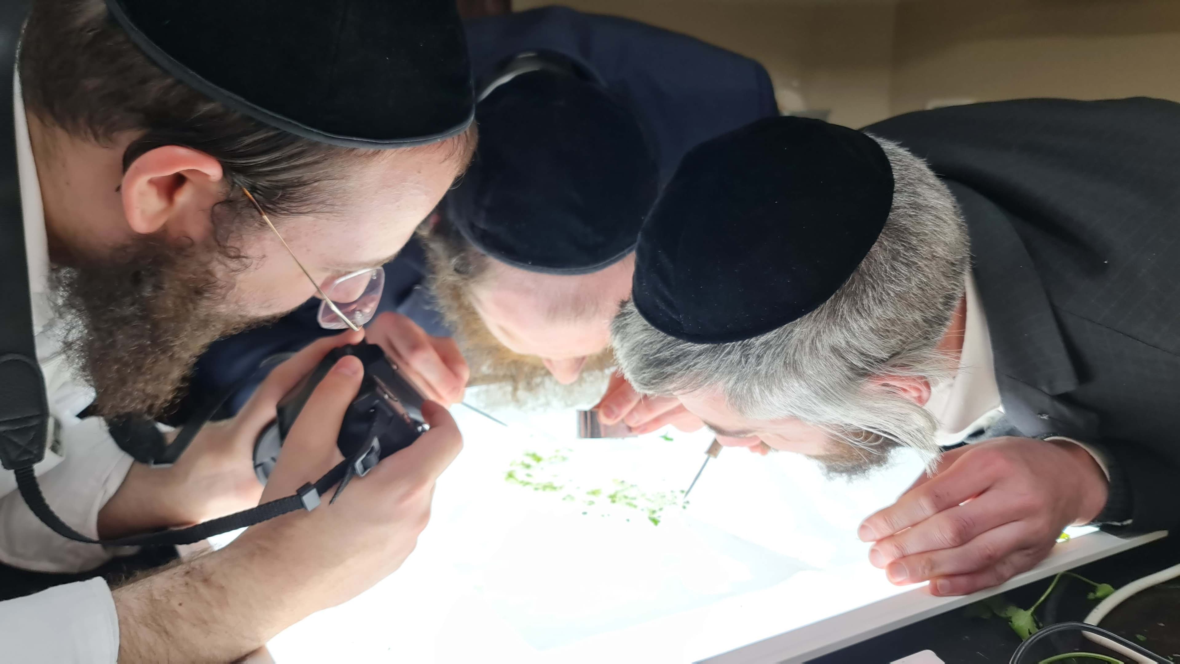 תמונה מהקורס 13