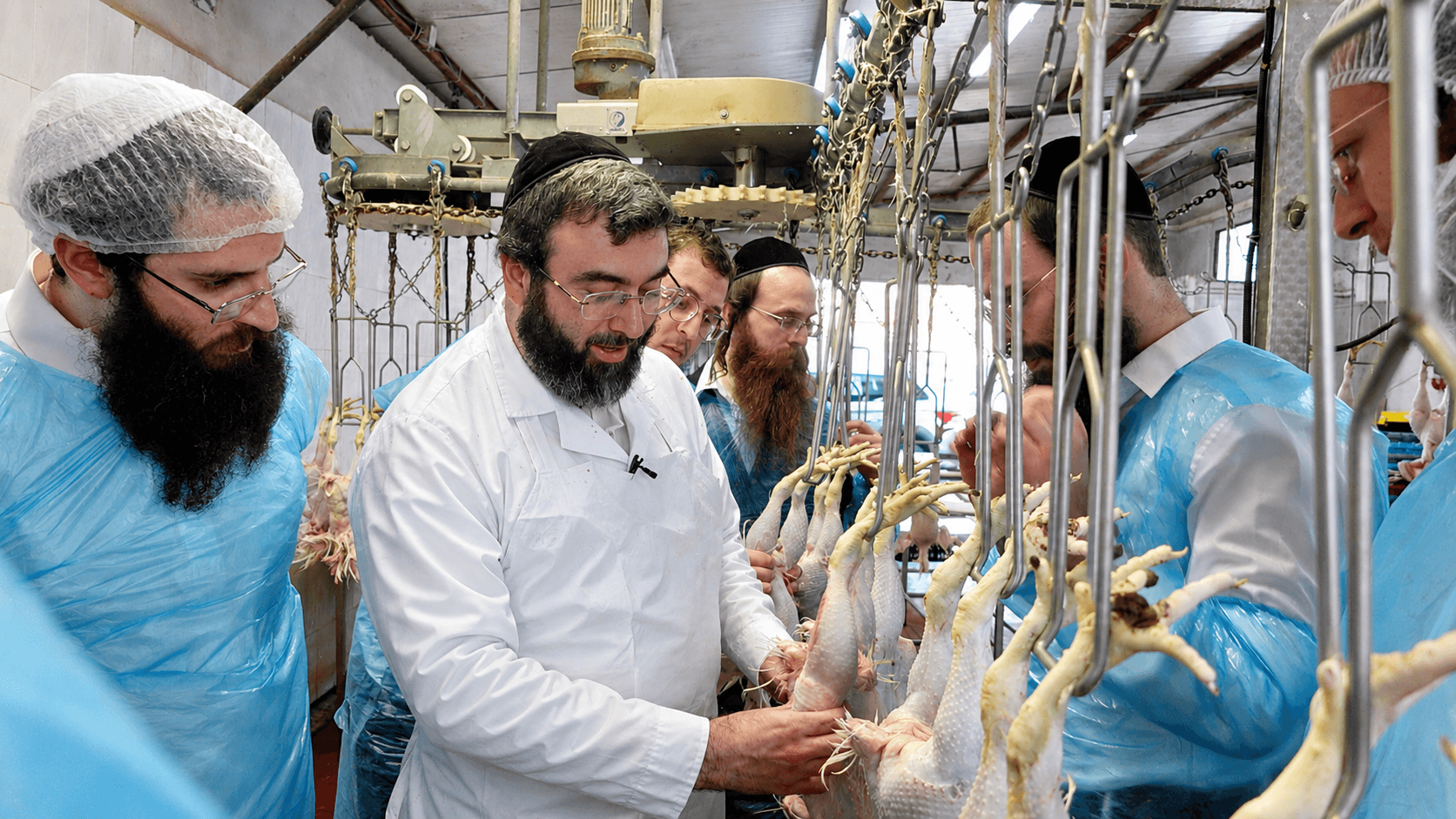 תמונה מהגלריה 1