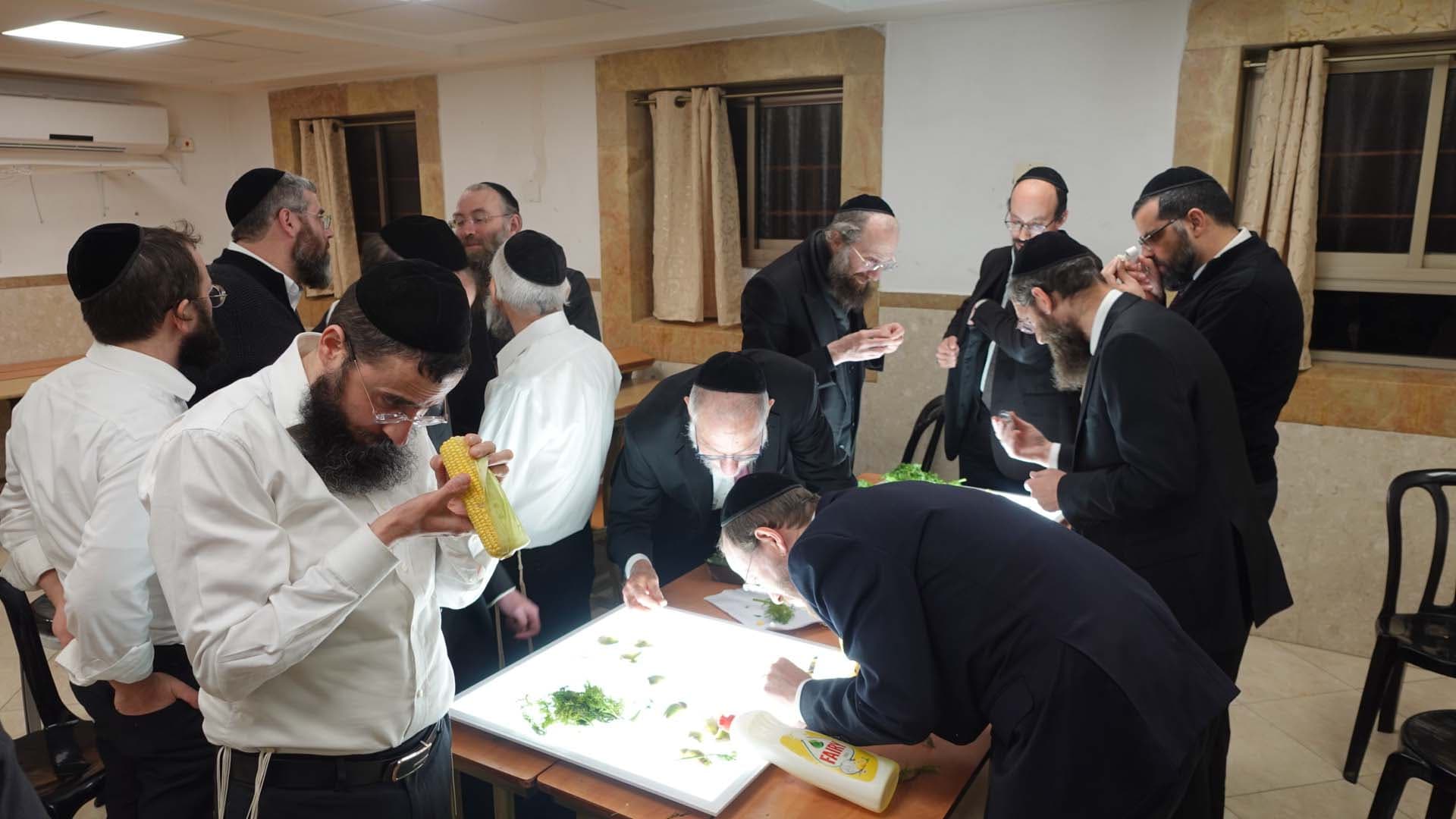 תמונה מהגלריה 4